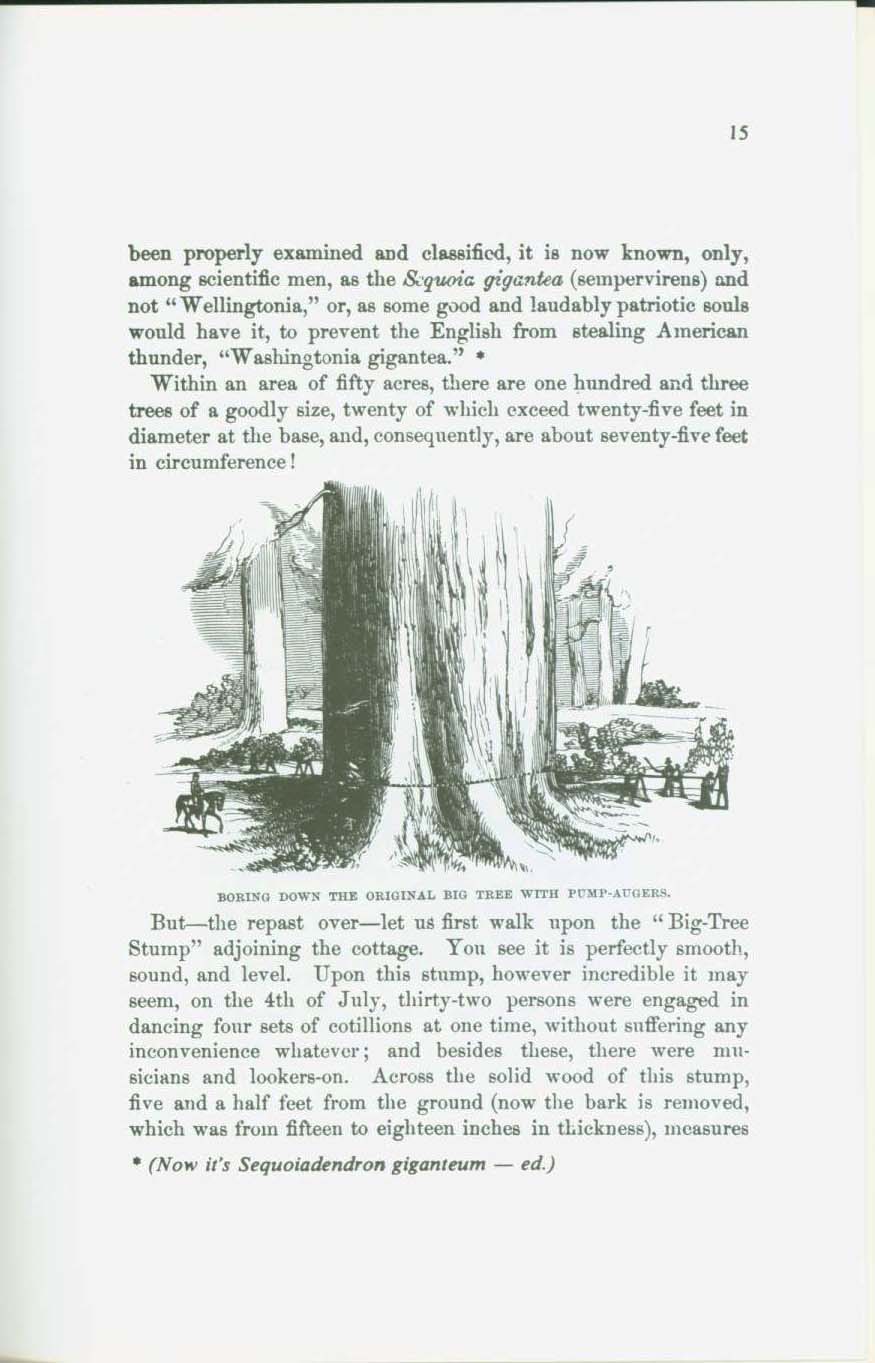 The Mammoth Trees of Calaveras. vist0050e